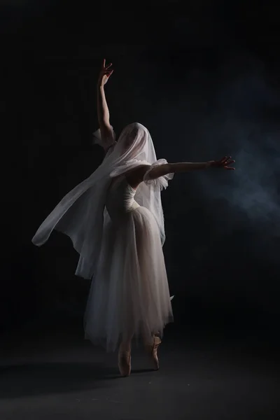 stock image Professional ballerina dancing ballet.Ballerina in a white dress and pointe shoes. Dark background. Veil. Scene. Performance