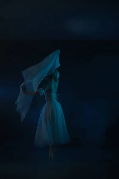 Професійний Балериновий Танцювальний Балет Темний Фон Синє Світло Вуаль Сцена — стокове фото
