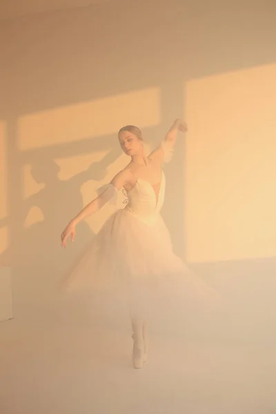 Професійний Балериновий Танцювальний Балет Білий Фон Сонячне Світло — стокове фото