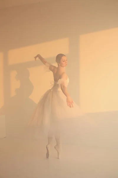 Profesionální Balerína Taneční Balet Ballerina Bílých Šatech Špičaté Boty Bílé — Stock fotografie