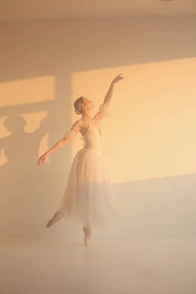 职业芭蕾舞演员跳芭蕾舞 芭蕾演员穿着白色连衣裙和尖尖的鞋子 白色背景 — 图库照片