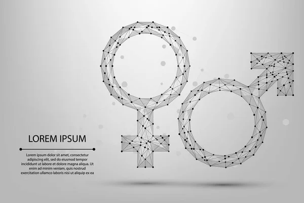 Abstract Mesh Line Point Male Female Symbols Low Poly Wireframe — Archivo Imágenes Vectoriales