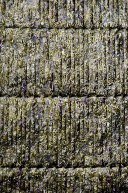 Norveç yosunu kapanıyor. nori çarşaf dokusu