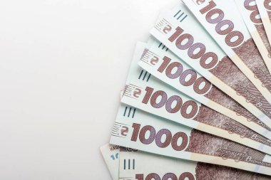 Elektrik kabloları için sakat terminaller, elektrikçiler için aletler. Elektrik terminalleri, beyazın elektrik tesisatı. Kablolar için bağlayıcılar.