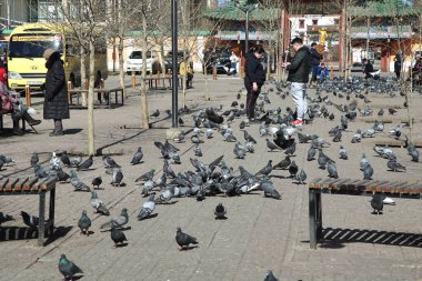 22 Mart 2024 Moğolistan 'daki Gandantegchinlen Manastırı çevresindeki insanlar