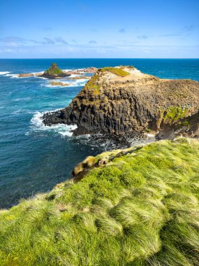 Victoria, Avustralya 'daki Phillip Adası' nda Piramit Kaya kıyı kaya oluşumları