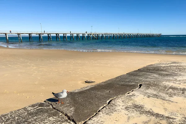 Klassieke Houten Port Noarlunga Jetty Strekt Zich Uit Oceaan Adelaide — Stockfoto