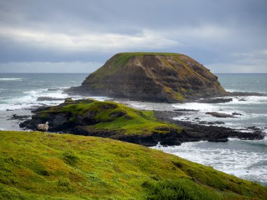 The Nobbies 'in eskiden Seal Rocks olarak bilinen tahta kaldırımdan Victoria, Avustralya' daki dramatik manzarası.
