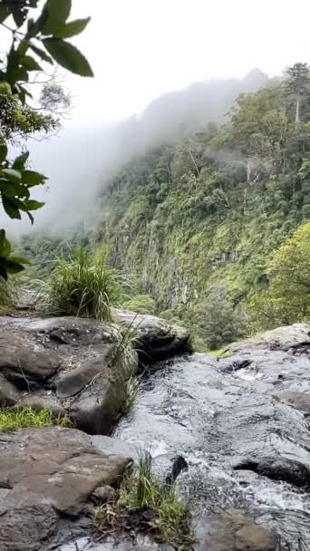 澳大利亚昆士兰州拉明顿国家公园Morans Falls瀑布上方的垂直时差Hd视频镜头 — 图库视频影像