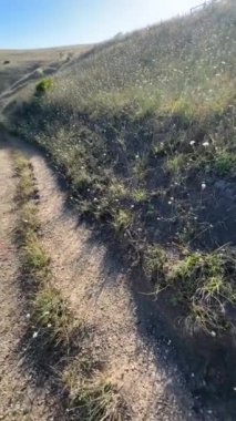 Güney Avustralya 'daki Fleurieu Yarımadası' ndaki Heysen Patikası 'ndaki Kings Plajı' na yürürken çekilmiş dikey video görüntüleri.