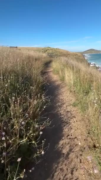 南オーストラリアのフルリュー半島のヒーゼン トレイルのキングスビーチ近くの野生の花を通る経路の風景の垂直映像 — ストック動画