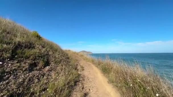 Paisaje Metraje Del Camino Través Flores Silvestres Cerca Kings Beach — Vídeos de Stock