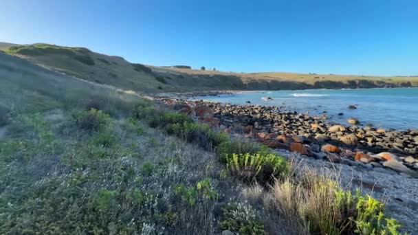 南澳大利亚弗利厄半岛海森小径上的国王海滩景观4K片断 — 图库视频影像