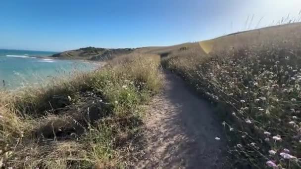 Landschap Beelden Lopen Naar Kings Beach Heysen Trail Het Schiereiland — Stockvideo