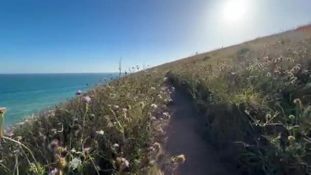 南オーストラリアのフルリュー半島のヒーゼン トレイルのキングスビーチ近くの野生の花を通る道の風景4K映像 — ストック動画