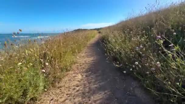 澳大利亚南部弗勒里厄半岛海森小径上国王海滩附近的野花穿过小径的景观4K段 — 图库视频影像