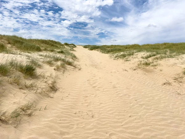 南オーストラリアのビーチで青空の下の砂丘や植物の風景 — ストック写真