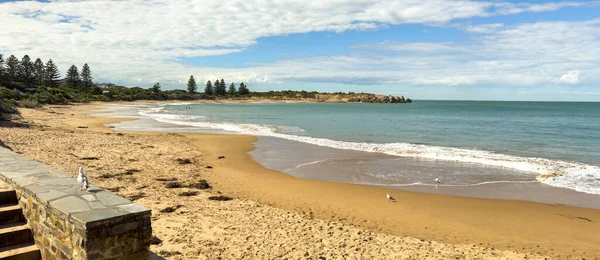 南澳大利亚埃利奥特港马蹄湾海滩上的海鸥 — 图库照片#