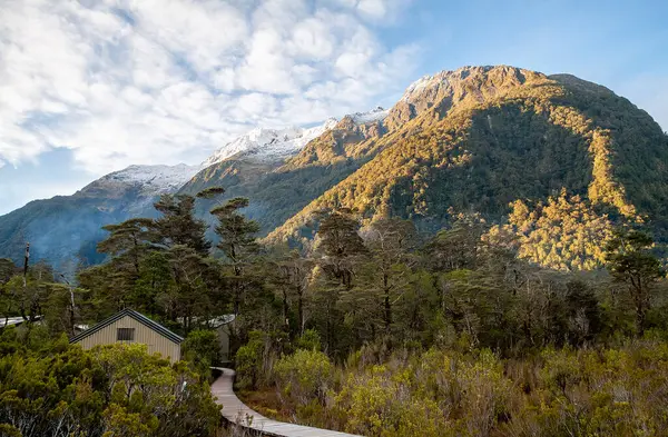 新西兰南岛米尔福德小路远足小径上的树木和山脉中隐藏的木板路和茅屋 — 图库照片#