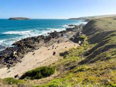 Güney Avustralya 'daki Fleurieu Yarımadası' ndaki Victor Harbor Miras Yolu boyunca kıyı manzaraları