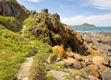 Rugged coastal views along the Heysen Trail near Kings Beach on the Fleurieu Peninsula in South Australia clipart