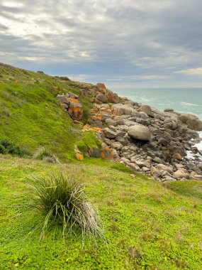 Moody views of the coast on Granite Island in Victor Harbor, South Australia clipart