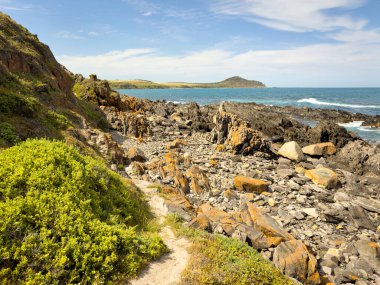 Rugged coastal views along the Heysen Trail near Kings Beach on the Fleurieu Peninsula in South Australia clipart