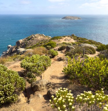 Güney Avustralya 'daki Fleurieu Yarımadası' ndaki Victor Limanı 'ndaki Kayalıklardan manzara