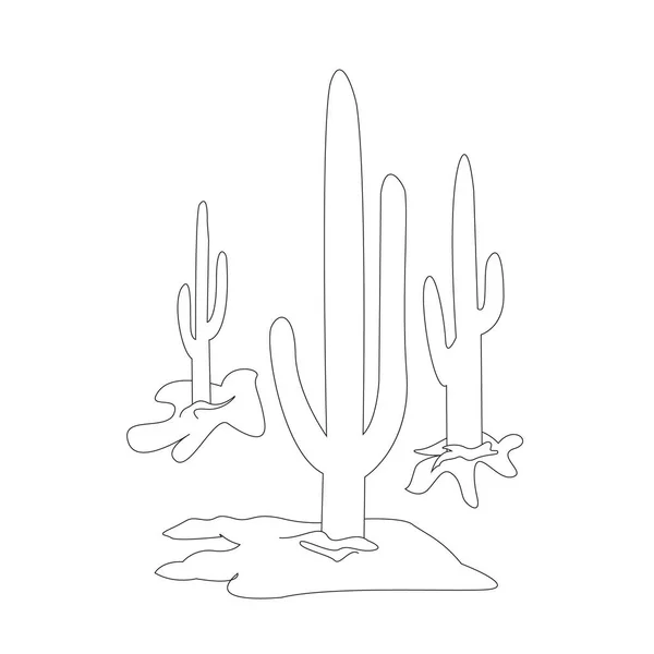 Кактус Готов Черно Белые Кактусы Нарисованные Вручную Дикими Тернистыми Пустынными — стоковое фото