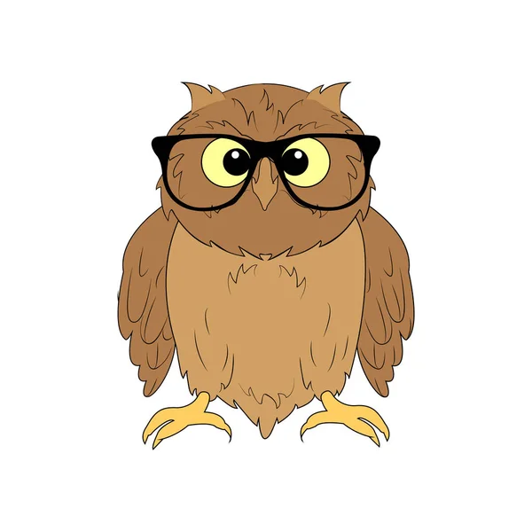 Klok Uggla Med Glasögon Rovfågel Symbol För Nattskogen — Stockfoto