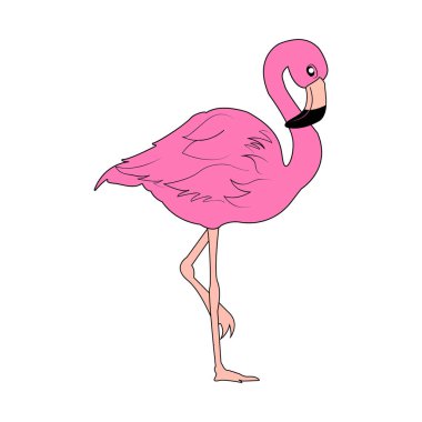 Beyaz arkaplanda pembe flamingo