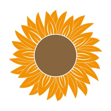 Beyaz arkaplanda sarı ayçiçeği