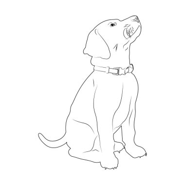 Kalemle çizilmiş siluet köpek. Beyaz arka planda tasmalı bir köpek. Tebrik kartları, posterler, yamalar, giysilerdeki izler, amblemler. Yavru köpek. Evcil hayvan