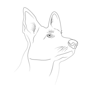 Taslak köpek kafası. Beyaz arka planda bir köpek. Tebrik kartları, posterler, yamalar, giysilerdeki izler, amblemler. Evcil hayvan. İnsan dostu.