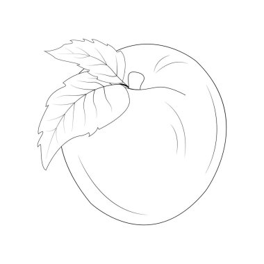 Şeftalili siluet. Saplı ve yapraklı şeftali. Doğal ürün. Sağlıklı beslenme ve beslenme. Tebrik kartları, posterler, yamalar, giysilerdeki izler, amblemler. Sulu şeftali