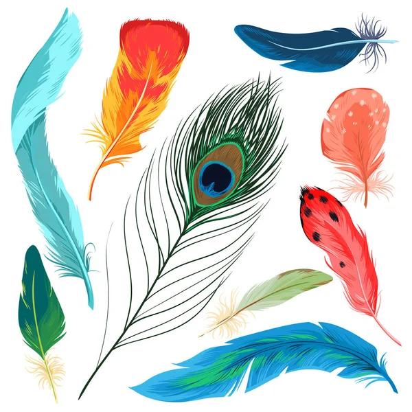 Plumas Set Vector Ilustración Colección Naturaleza Colorida Aislada Dibujos Animados — Vector de stock
