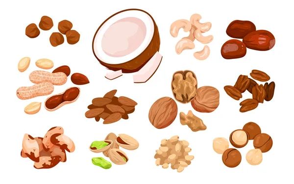 Kartun Mengisolasi Campuran Makanan Kacang Kering Organik Koleksi Makanan Ringan - Stok Vektor