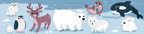 Karikatur Isoliert Niedlichen Baby Tierfiguren Mit Lustigen Eisbär Glückliches Walross — Stockvektor