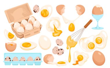 Eggs set vector illustration. Cartoon whole fresh or boiled egg in shell or peeled, cut in half and quarter, fried with yolk flowing out and whipped with whisk, farm product in box and container clipart