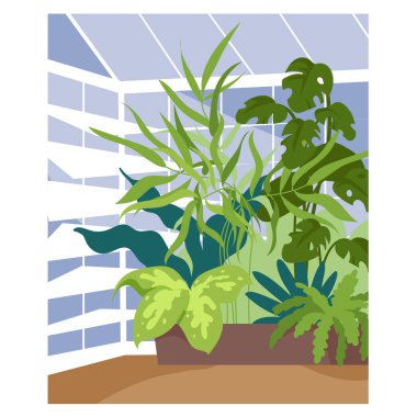 Botanik bahçesinin içi, cam duvarda büyüyen dekoratif tropikal bitkilerden oluşan büyük yeşil yapraklı sera. Glasshouse karikatür vektör ilülasyonu içinde doğal egzotik bitki yetiştirme büyümesi