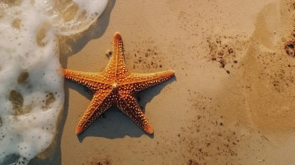 Tropické Pláži Hvězdicemi — Stock fotografie
