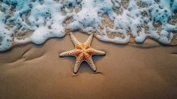 Deniz Yıldızı Ile Tropikal Plaj — Stok fotoğraf
