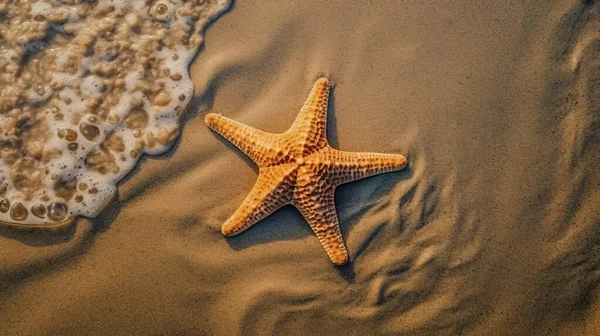 ヒトデと熱帯のビーチ — ストック写真