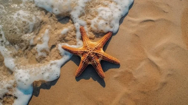ヒトデと熱帯のビーチ — ストック写真