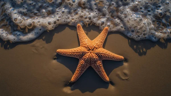 ชายหาดเขตร อนท ดาวปลา — ภาพถ่ายสต็อก