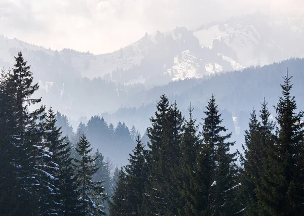 Bewaldete Berghänge Und Bergrücken Mit Schnee Und Tief Liegende Talnebel lizenzfreie Stockbilder