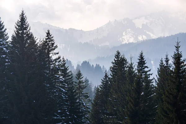 Bewaldete Berghänge Und Bergrücken Mit Schnee Und Tief Liegende Talnebel Stockbild