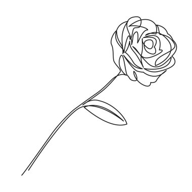 continuous single line drawing of a rose, line art vector illustration