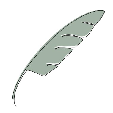 colored single line drawing of tropical leaf, line art vector illustration