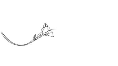 Çiçek ve çizgi sanat animasyonlarıyla beslenirken uçan sinekkuşunun sürekli tek çizgi çizimi